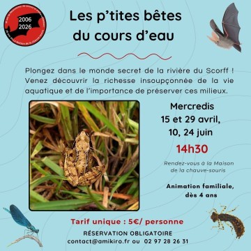 Sortie nature "Les p'tites bêtes de l'eau"