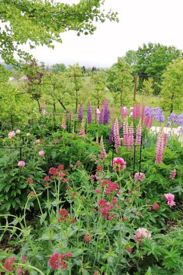 Visite commentée auprès du public déficient visuel