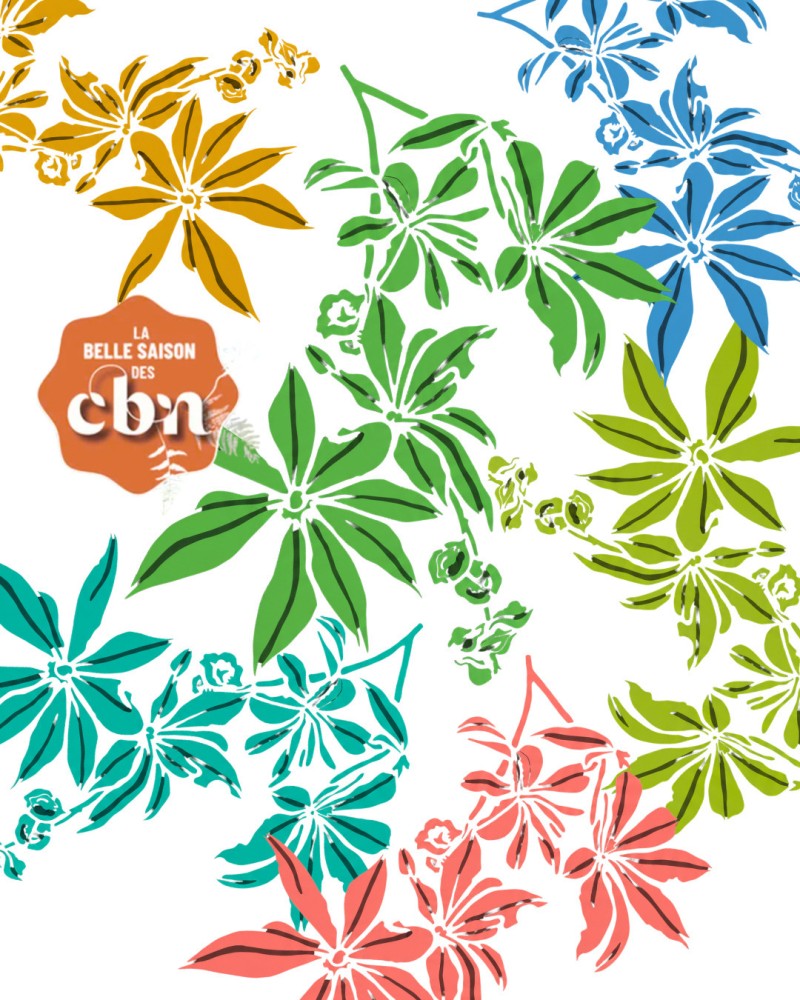 Des pochoirs au jardin (La Réunion - 974)