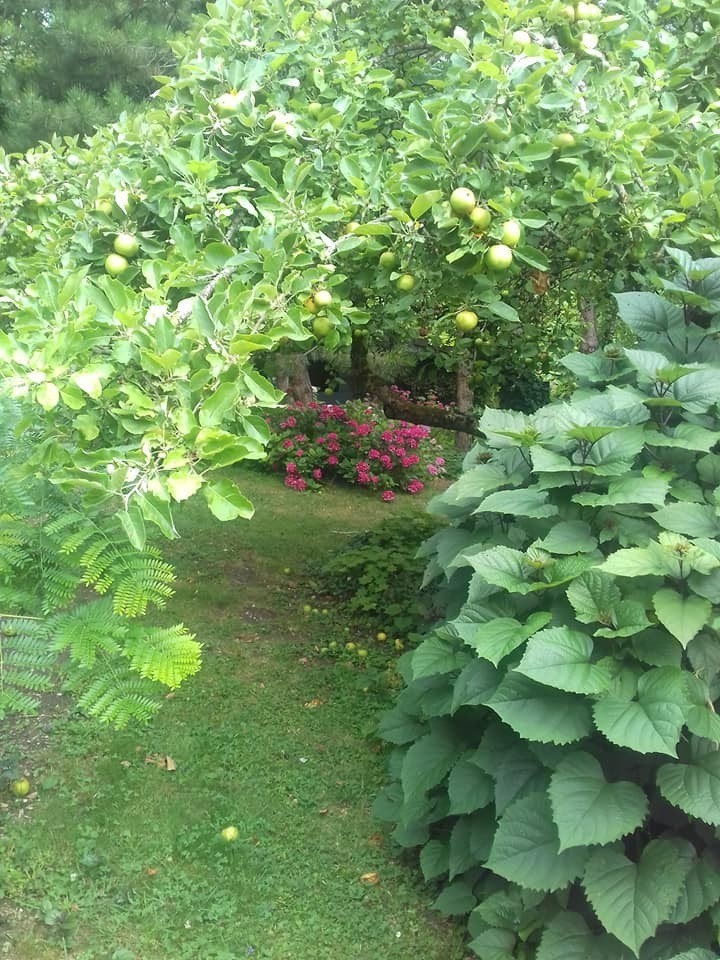 Voyage au cœur de la nature