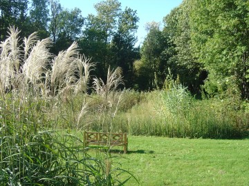 Découverte d'un jardin humide
