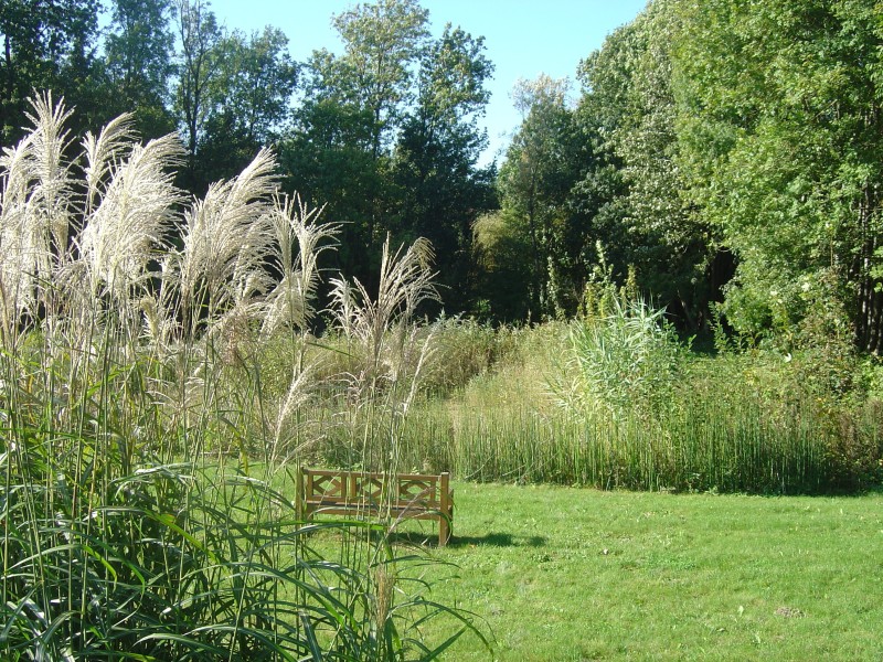 Découverte d'un jardin humide