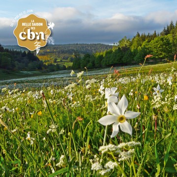 Nuit Européenne des Musées / Ex(s)istere - LE PUY EN VELAY (43)