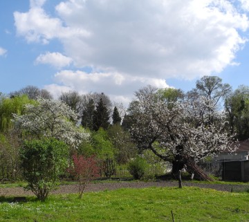 Jeu de piste et découverte au jardins potagers de l'Hermitage