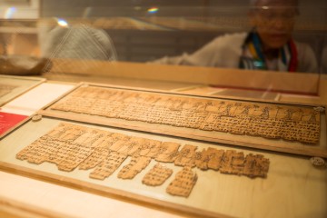 Coup de projecteur : les collections antiques