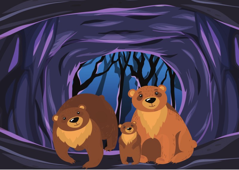 Visite commentée "Petit ours des cavernes"