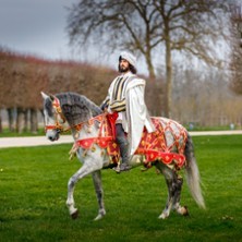 Spectacle Chevaux Domaine national de Chambord