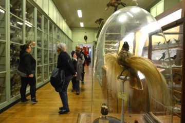 Une œuvre en détail