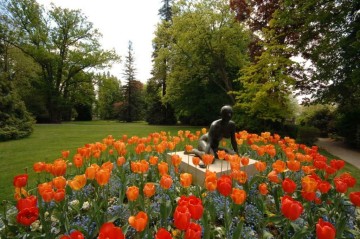 Le jardin des Plantes