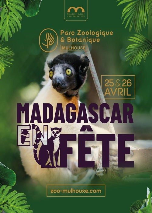 Justin VALI à Mulhouse (68)  Madagascar en fête 2026