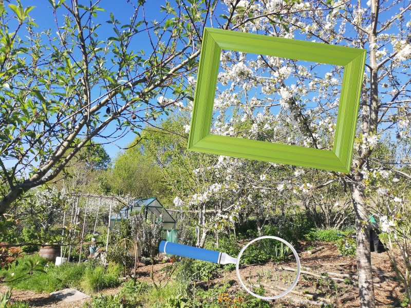Découverte d'un jardin, du petit détail à la vue d'ensemble