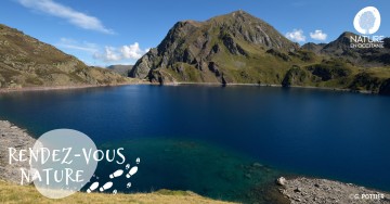 Biodiversité montagnarde : endémisme pyrénéen et Cie