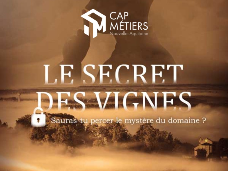 Serious game: Le secret des vignes