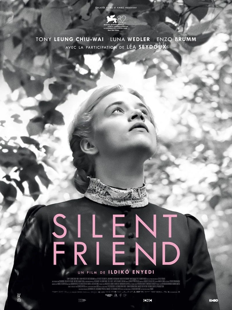 SILENT FRIEND | VOST