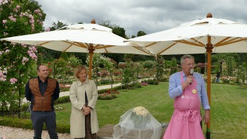 Baptêmes de rose