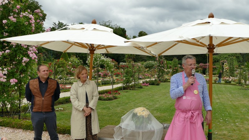 Baptêmes de rose