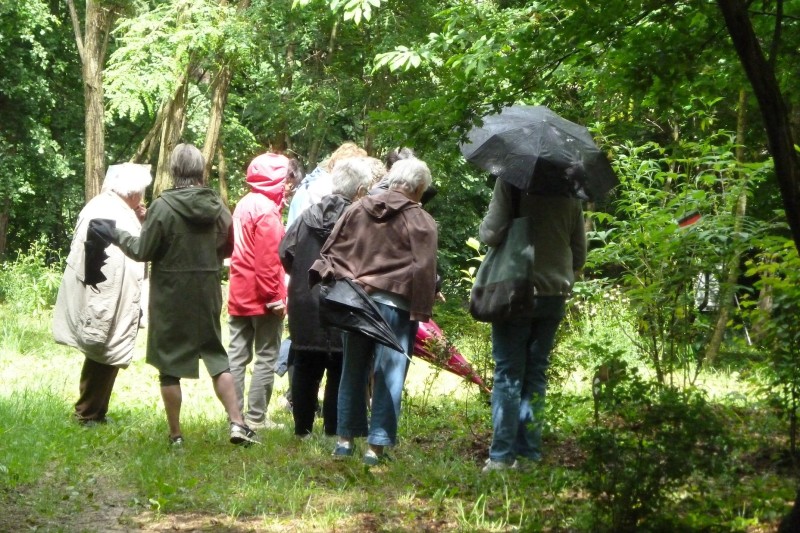 Visite libre des Jardins du Cap d'Arbon