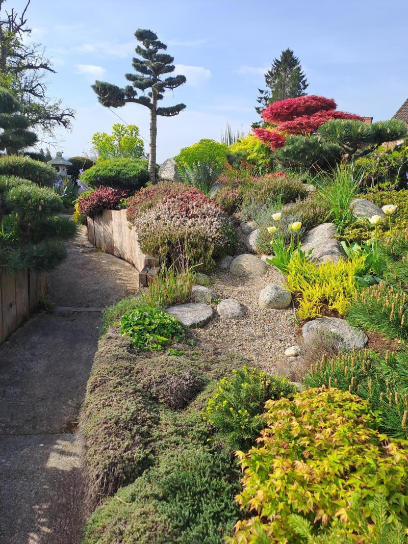 Le chemin des Niwakis