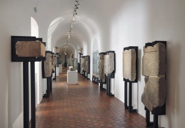 Visites « Coup de projecteur »