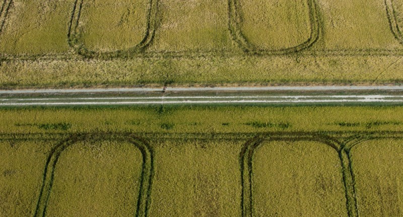 Festival de la Camargue - Immersion dans les rizières