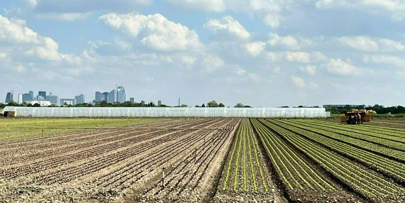 Les multiples facettes de la Plaine de Montesson