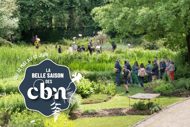 Portes-ouvertes des jardins remarquables du CBN des Hauts-de-France