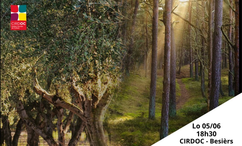 Les dynamiques de déclin et de revitalisation linguistique - à travers une comparaison entre le finnois et l’occitan au XIXᵉ siècle