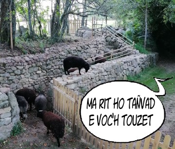 Conférence en breton  "Ur sell war ar c'hrennlavarioù brezhonek"