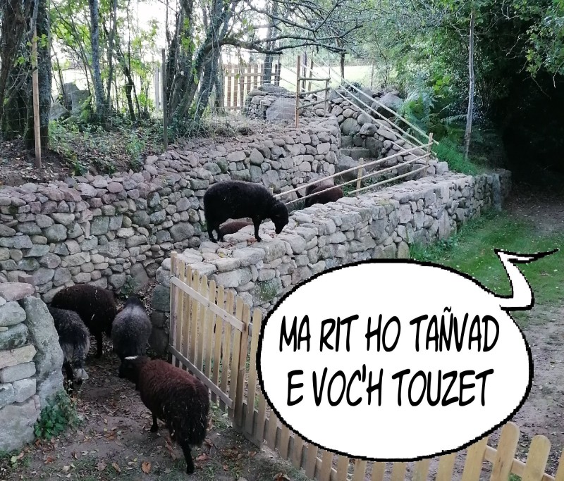 Conférence en breton  "Ur sell war ar c'hrennlavarioù brezhonek"