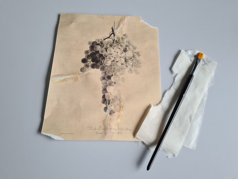 DANS L’ATELIER D’ENGELMANN