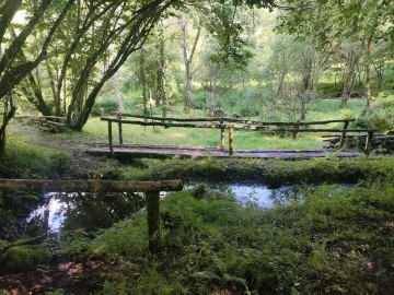 Déambulez librement dans le parc arboretum de Saint-Setiers