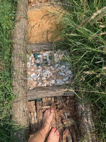 Visite sensorielle chez Plantes & Parenthèses