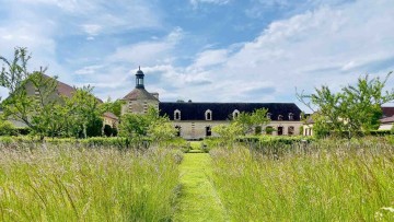 Visite, contes et bar à tisanes au jardin