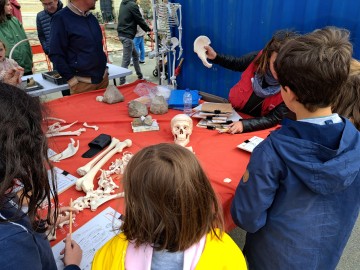 Atelier Inrap : découverte de l'anthropologie