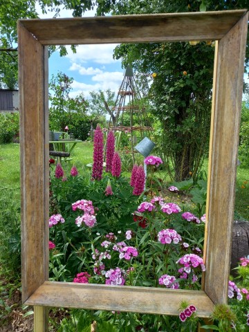Visite au jardin de Dominique à Laneuville