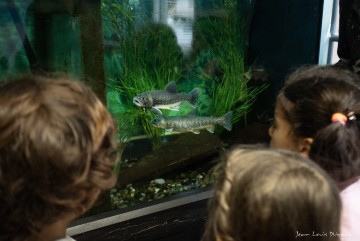 Visite libre de l'écomusée de la pêche et du lac