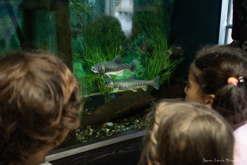 Visite libre de l'écomusée de la pêche et du lac