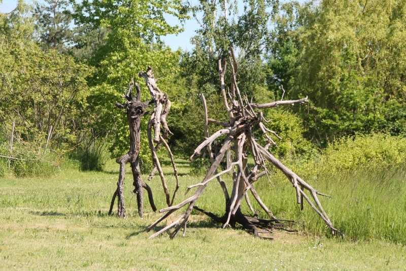 De la nature à l'art