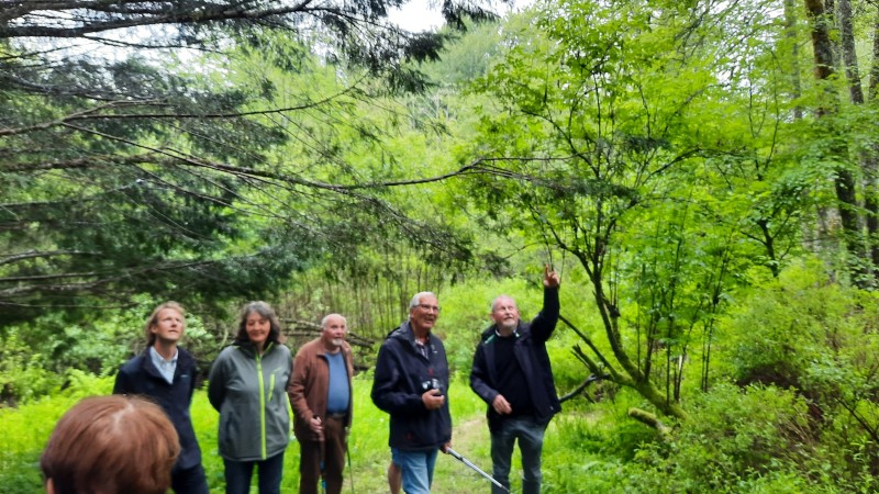 Écoutez l'histoire du parc arboretum de Saint-Setiers