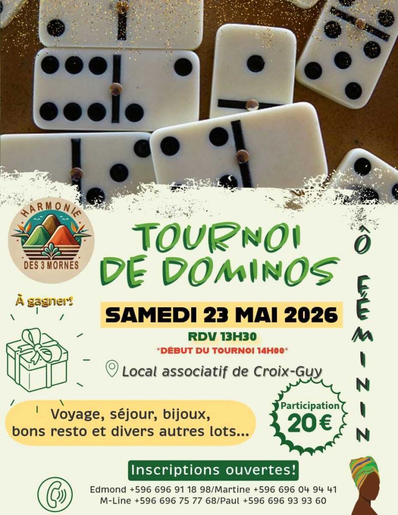 TOURNOI DE DOMINOS