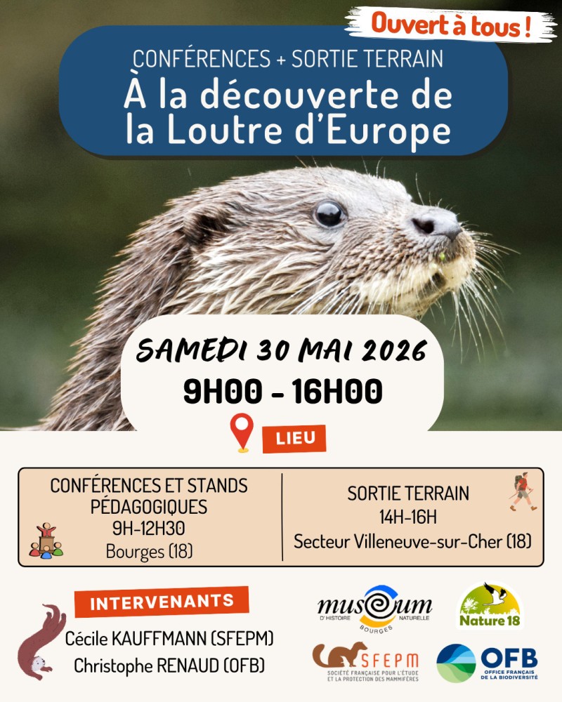 A la découverte de la Loutre d'Europe