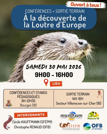 A la découverte de la Loutre d'Europe