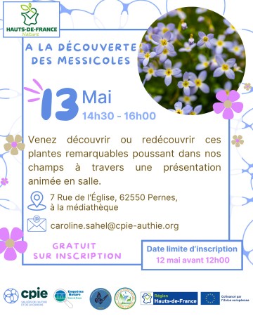 À la découverte des messicoles