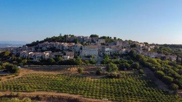 Une matinée au verger