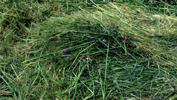 Vernissage de l'exposition "Une odyssée en terre agricole"