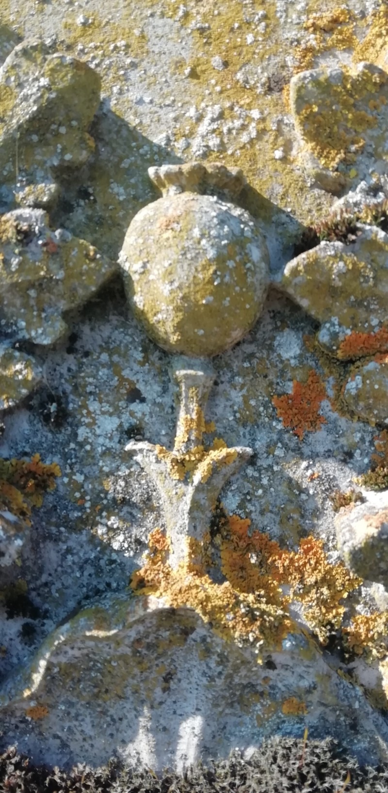 Visite commentée du cimetière de FRANCHELEINS