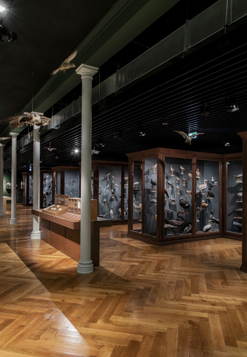 « Musées pour tous ?! »