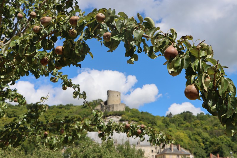 Visite-atelier au Potager-fruitier du Château