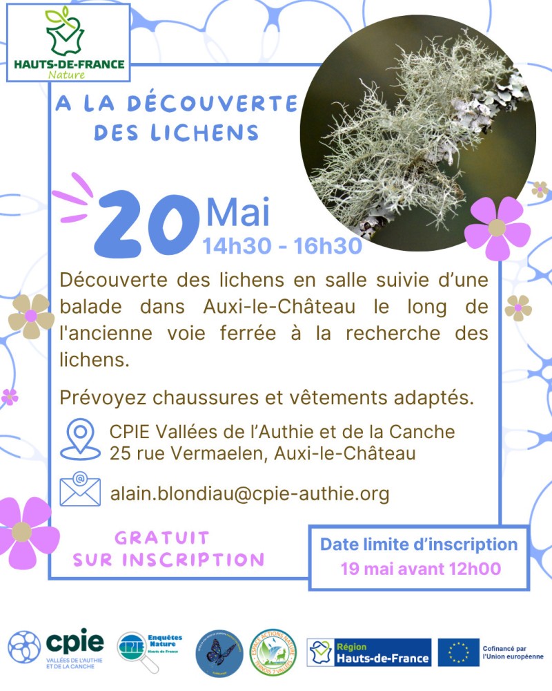 À la découverte des lichens