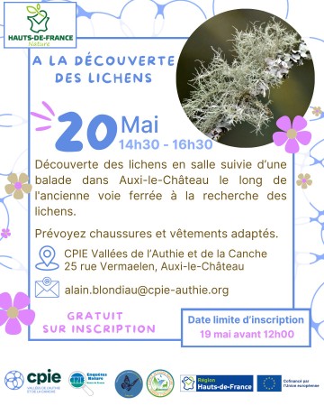 À la découverte des lichens